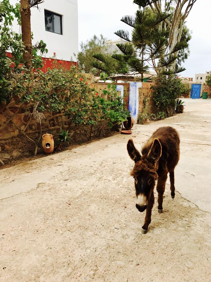 Gite Le Nomade Mirleft Bagian luar foto